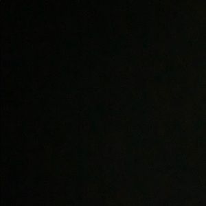 Meet your Posher, Alannah